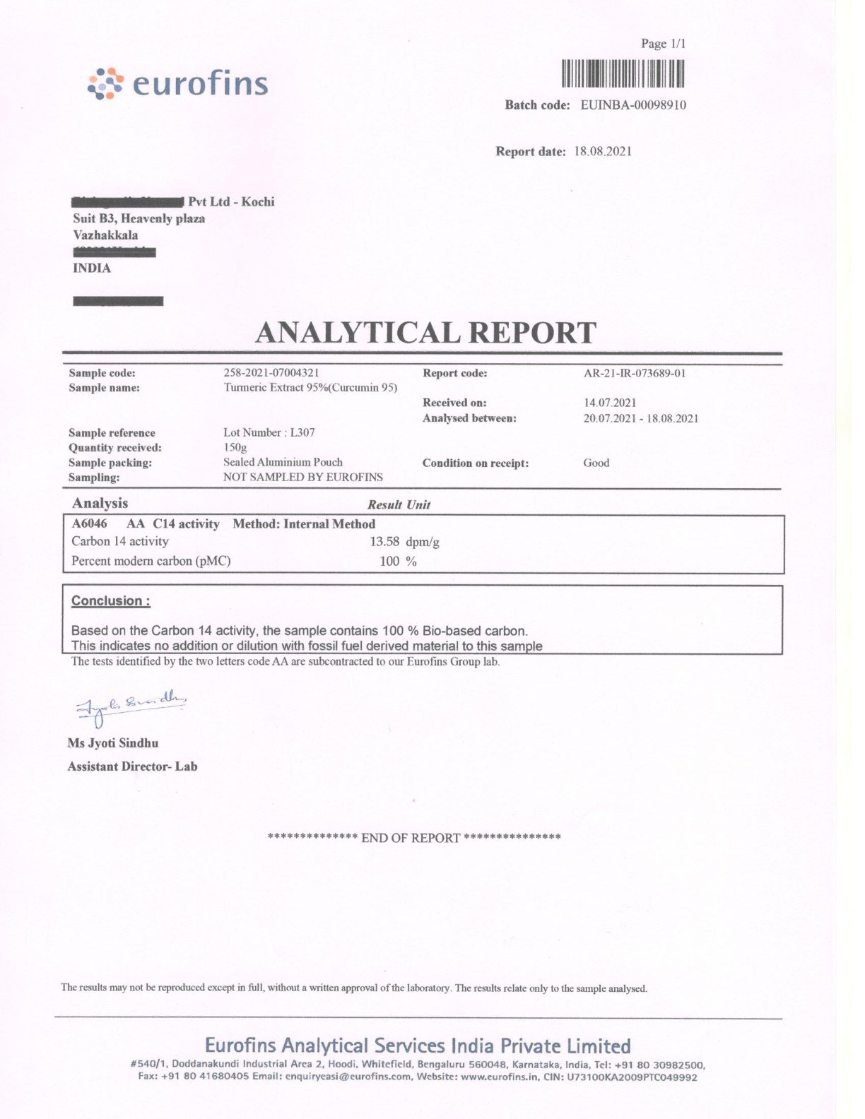 curcumin caps lab report